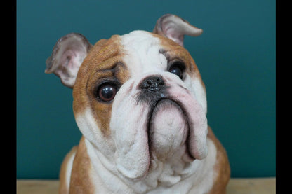 Sitting Bulldog