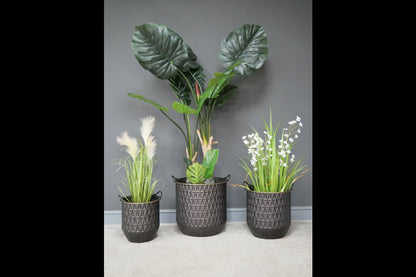 Set of 3 Planters