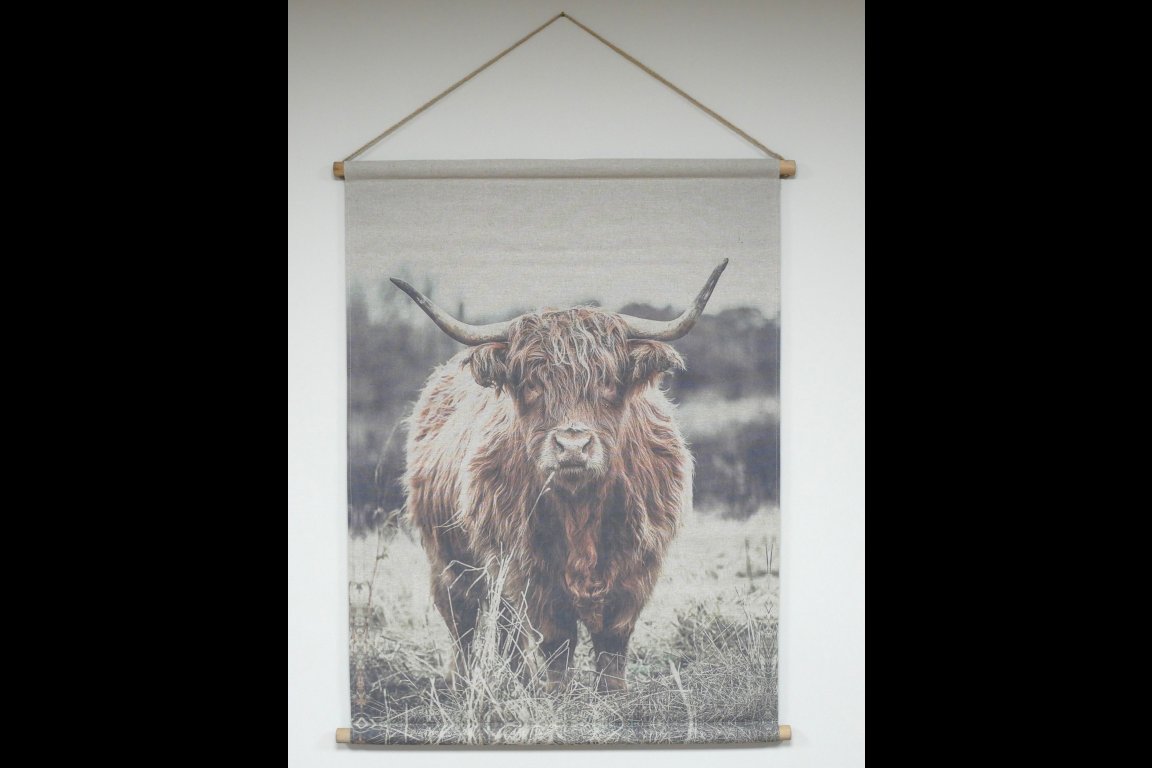 Wall Art - Highland Cow