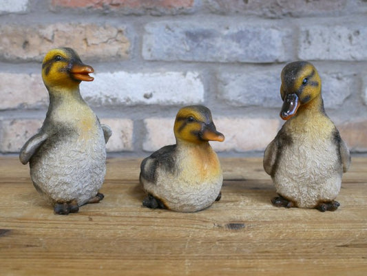 Set Of 3 Ducks