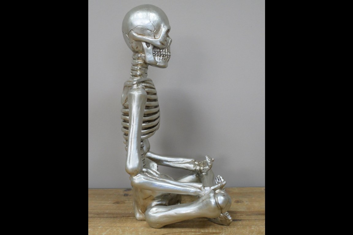 Yoga Skeleton
