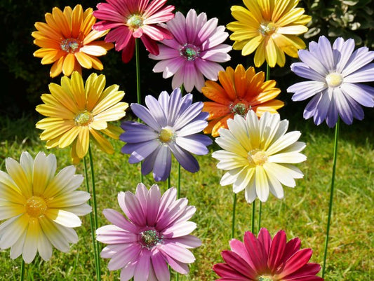 Flowers