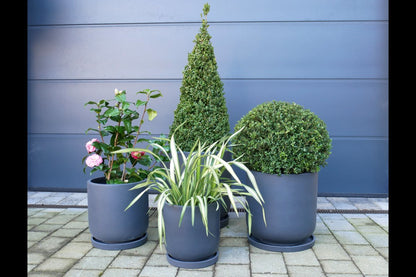 Set Of 4 Planters With Saucers