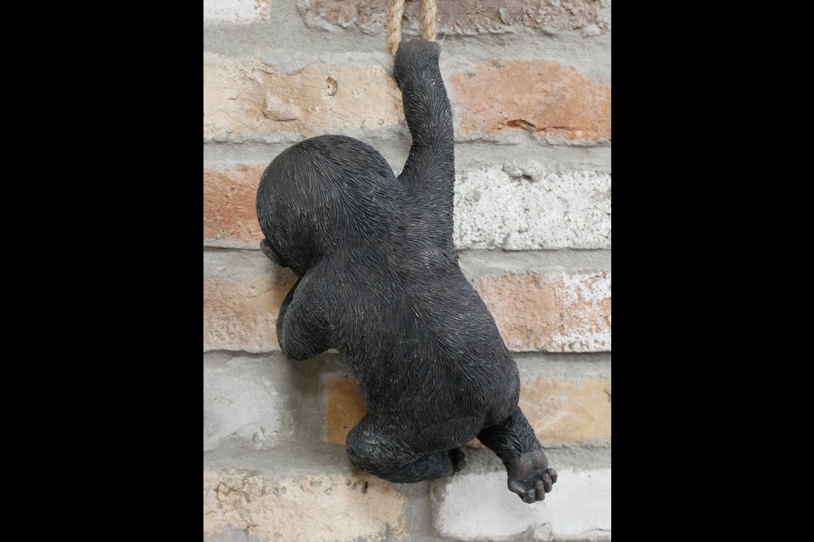 Hanging Baby Gorilla