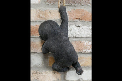 Hanging Baby Gorilla
