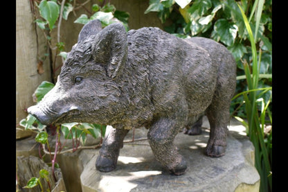 Pig