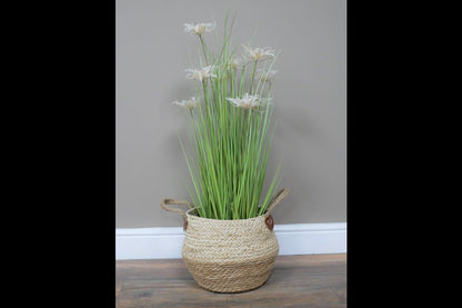 Basket / Planter