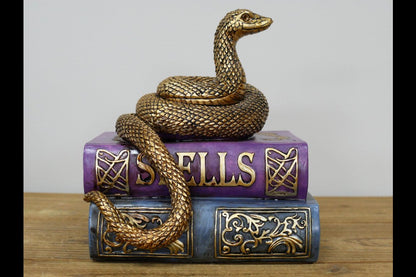 Snake On Spell Books