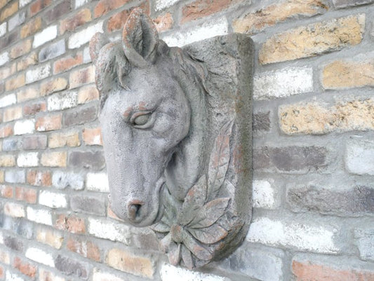 Horse Head