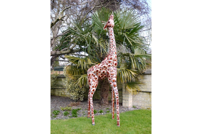 Giraffe Small