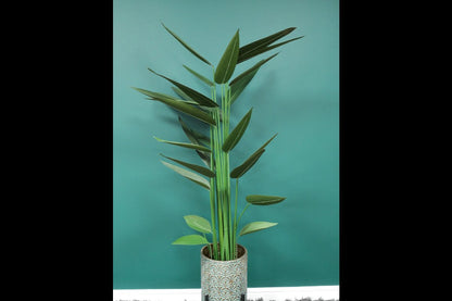 Artificial Canna