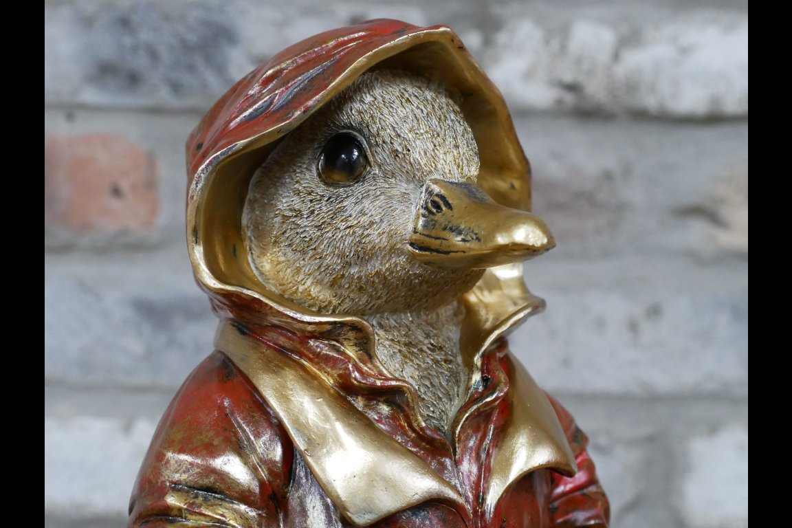 Duck In Coat - Large