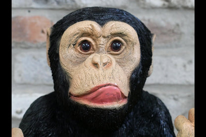 Up Yours Monkey Headphone Holder