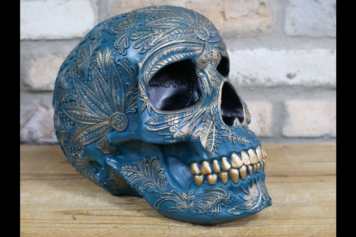 Skull