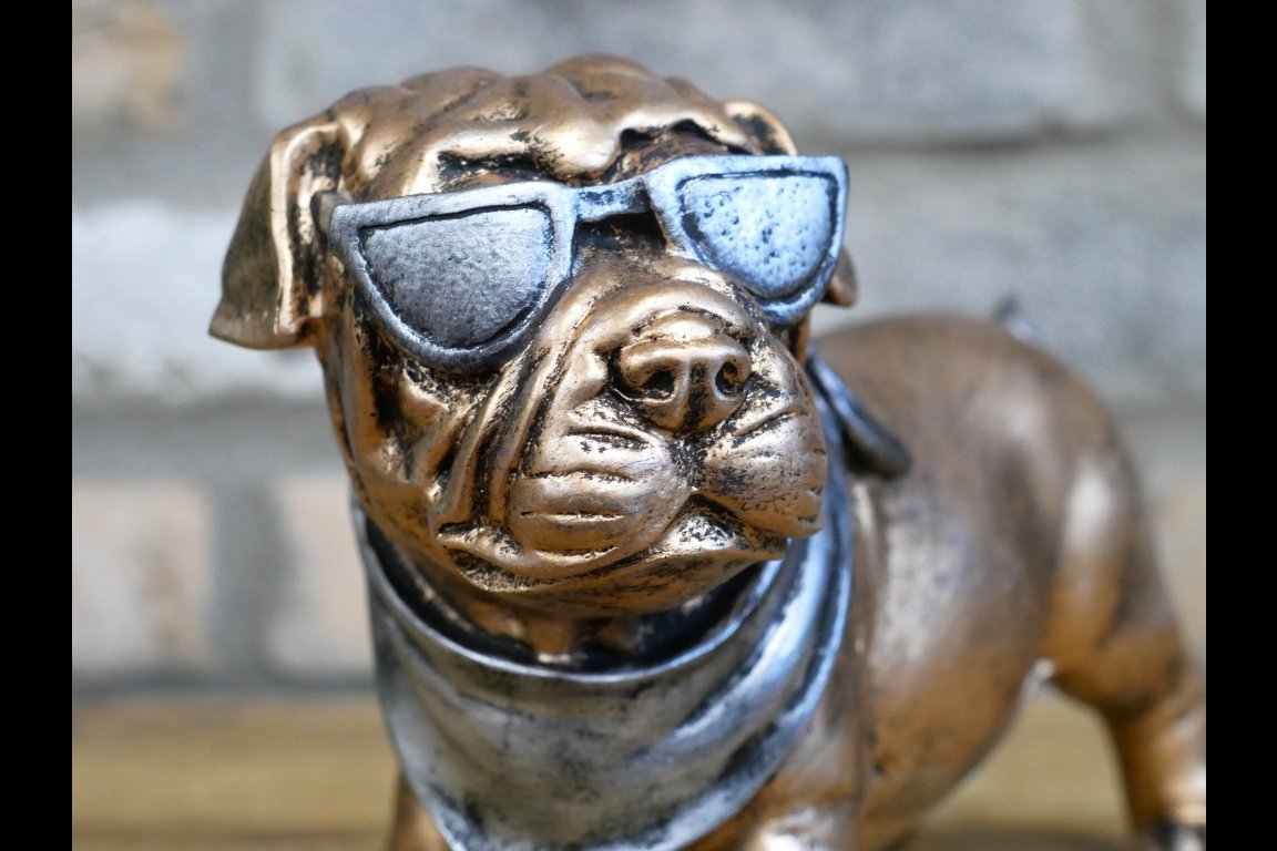 Dog With Shades