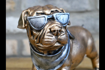 Dog With Shades