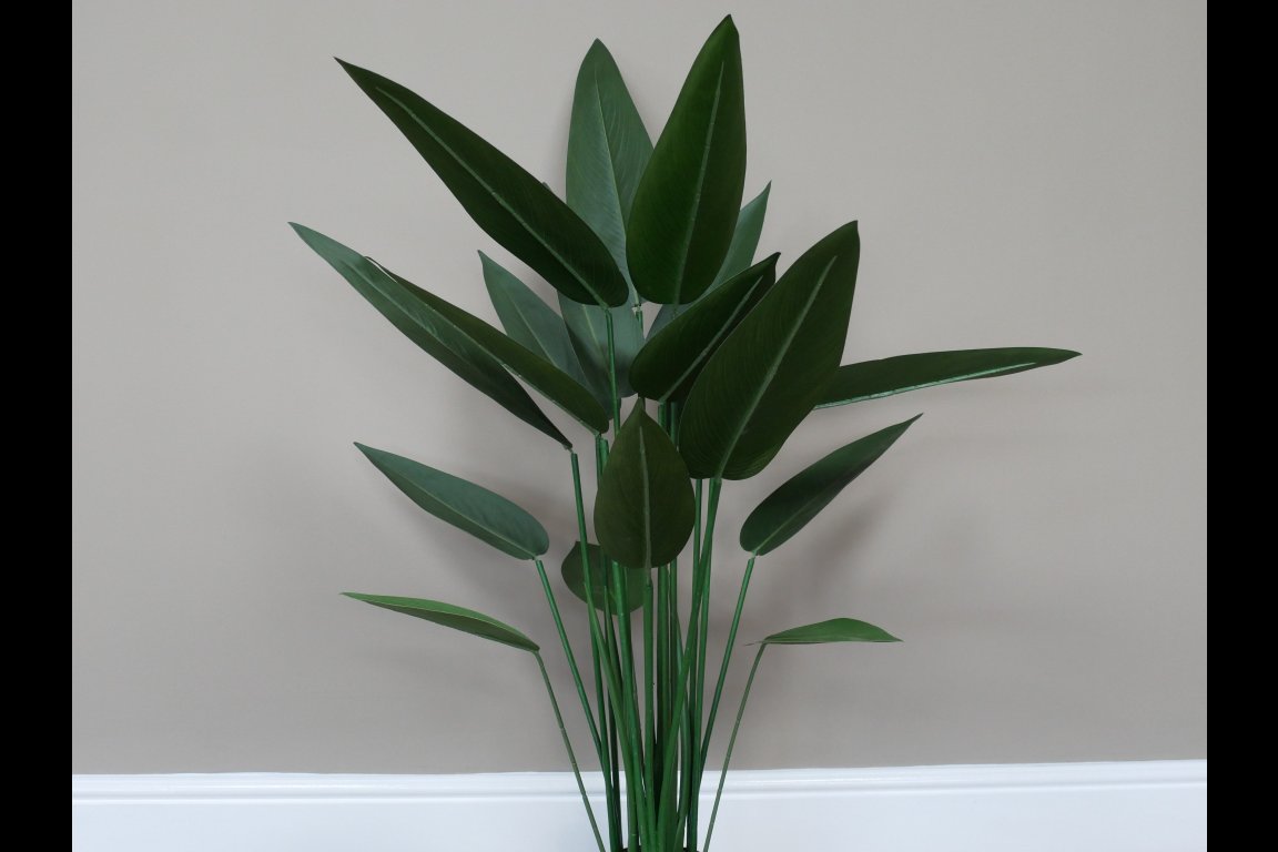 Artificial Canna