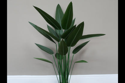 Artificial Canna