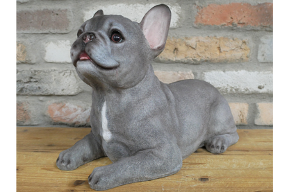Laying Dog (Frenchie)