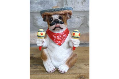 Mexican Bulldog