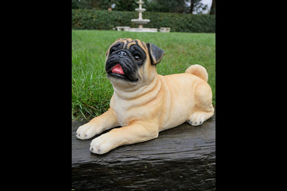 Laying Dog