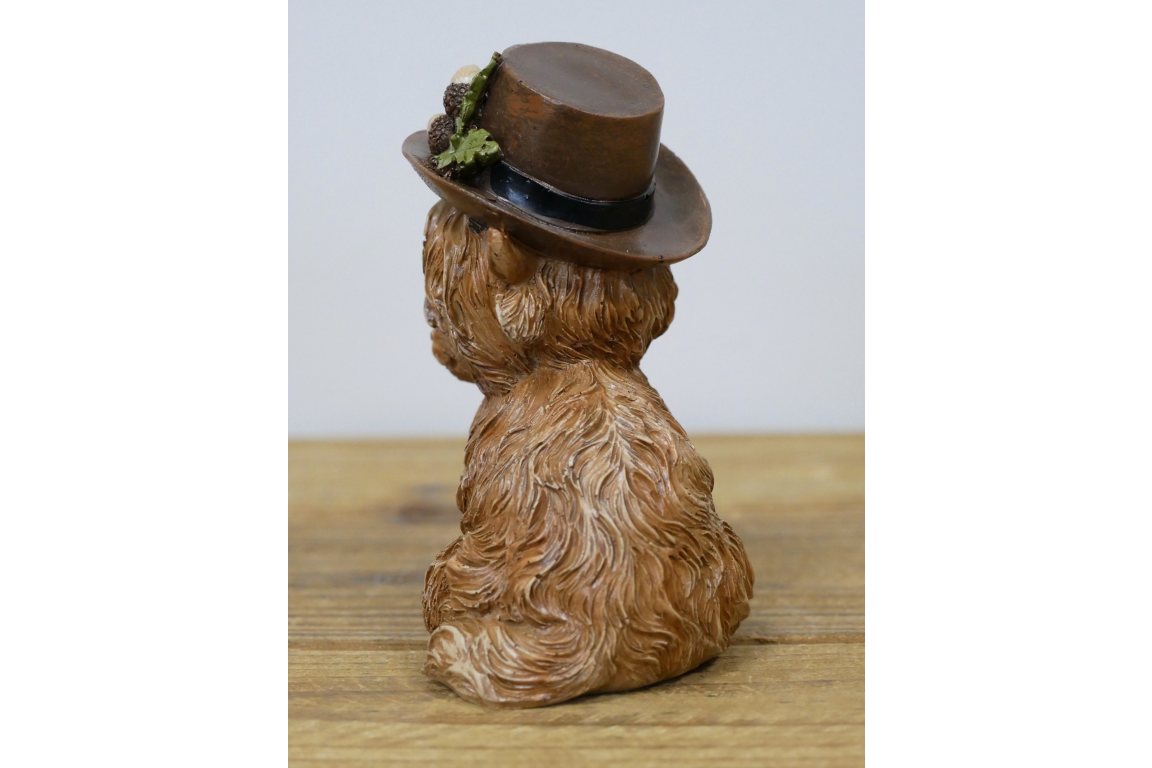 Highland Cow With A Hat