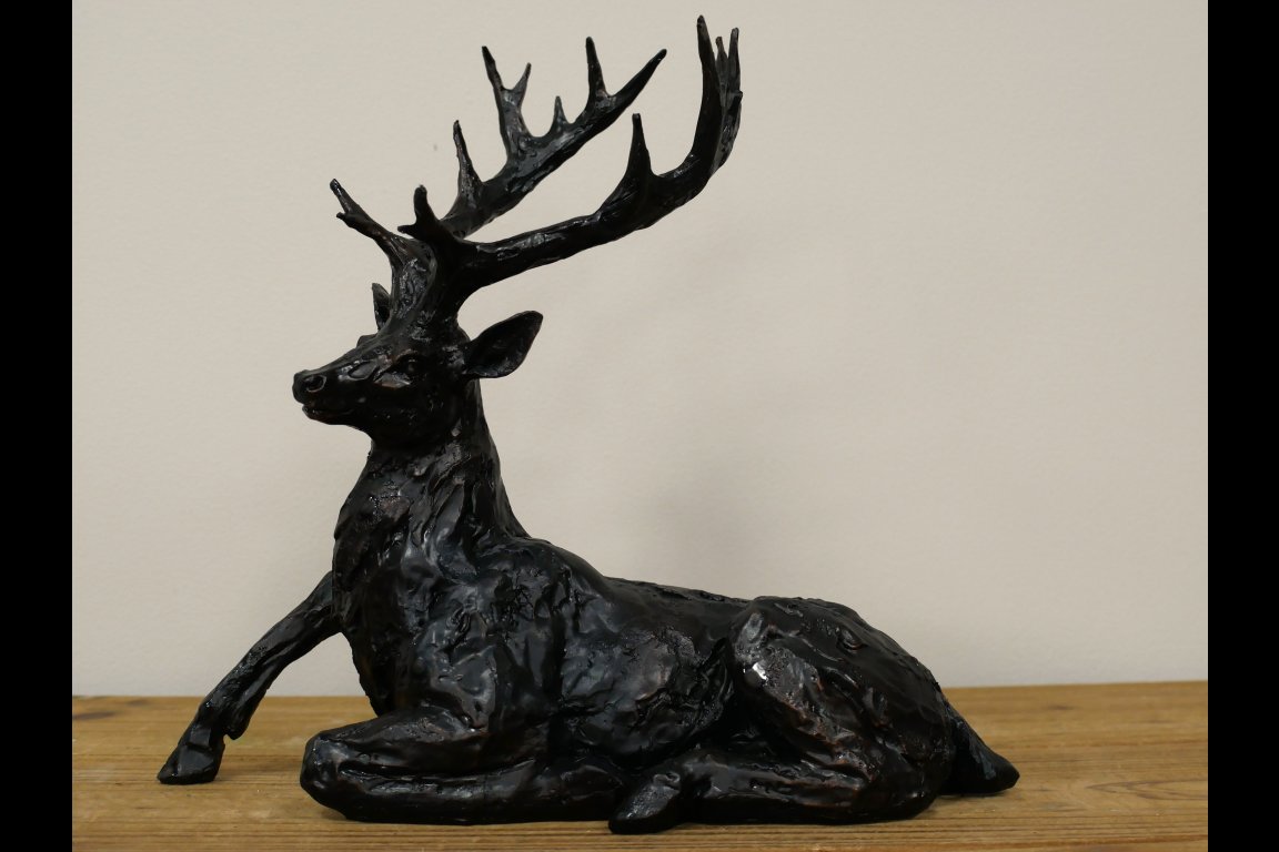Laying Stag