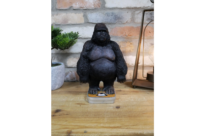 Heavy Gorilla