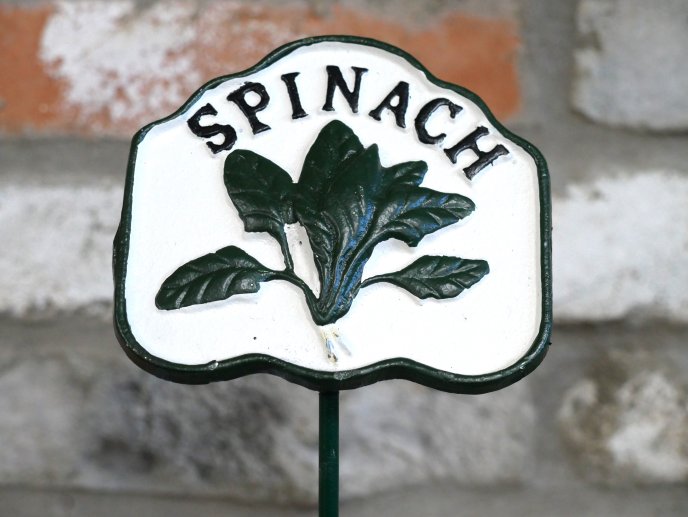 Spinach Sign