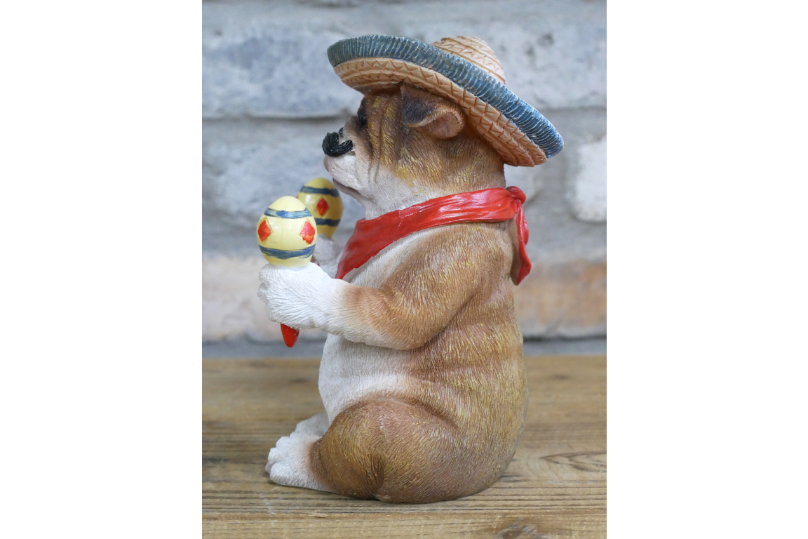 Mexican Bulldog