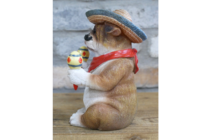 Mexican Bulldog