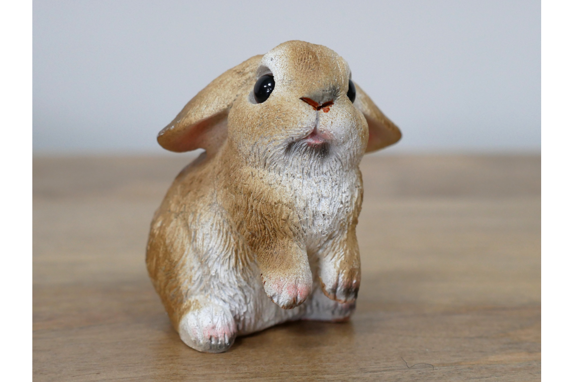 Mini Rabbits
