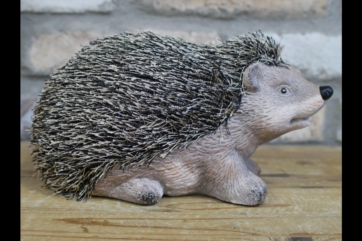 Hedgehog