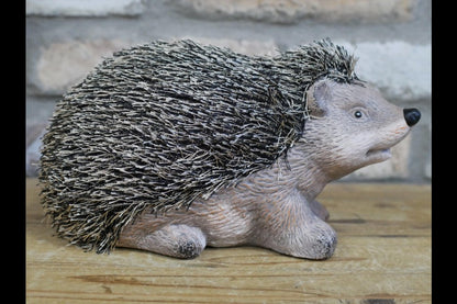 Hedgehog