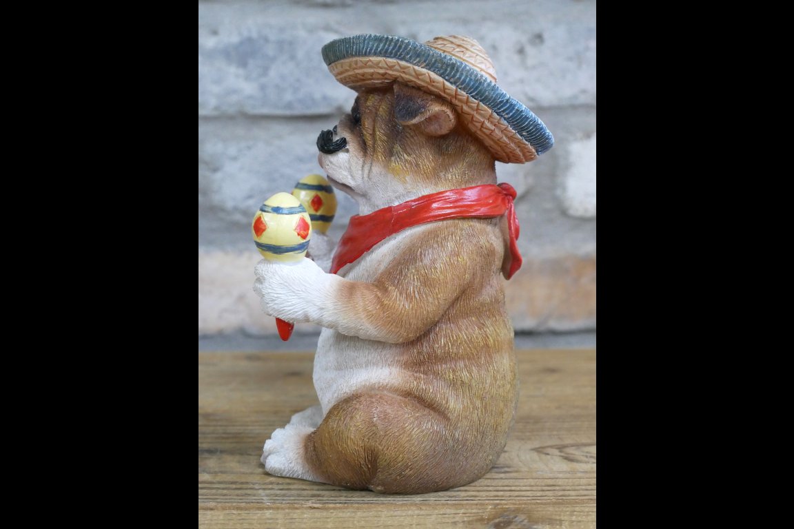 Mexican Bulldog