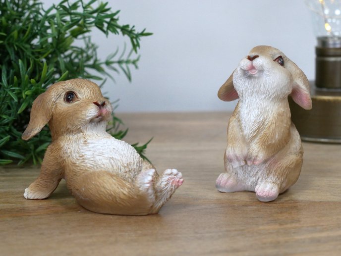 Mini Rabbits