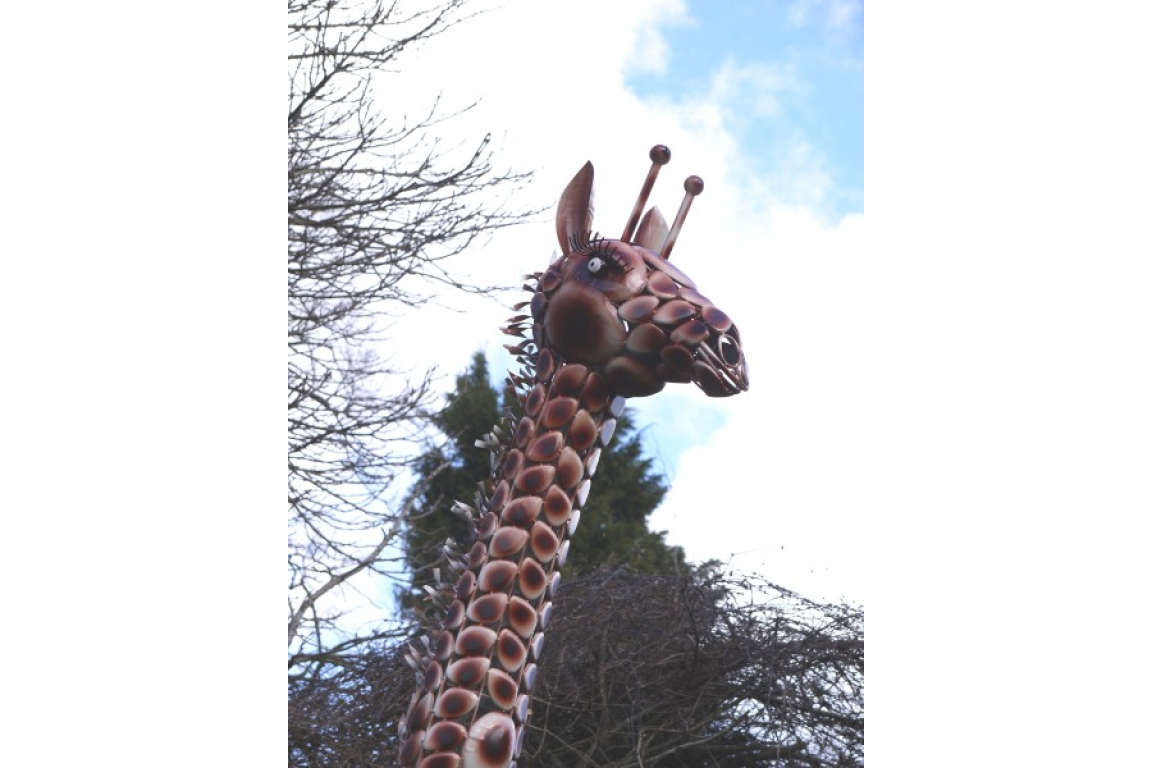 Giraffe Large