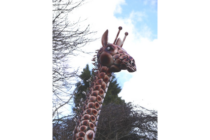 Giraffe Large