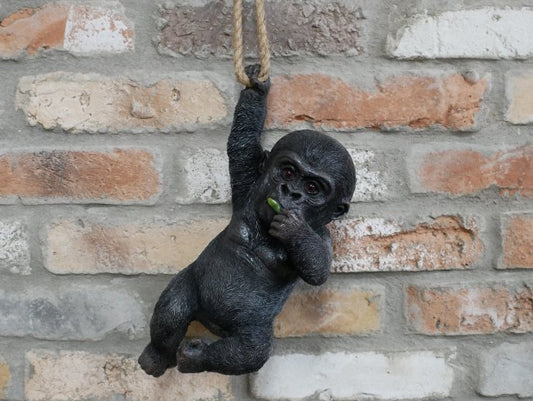 Hanging Baby Gorilla