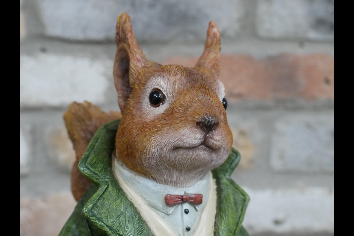 Mr Squirrel