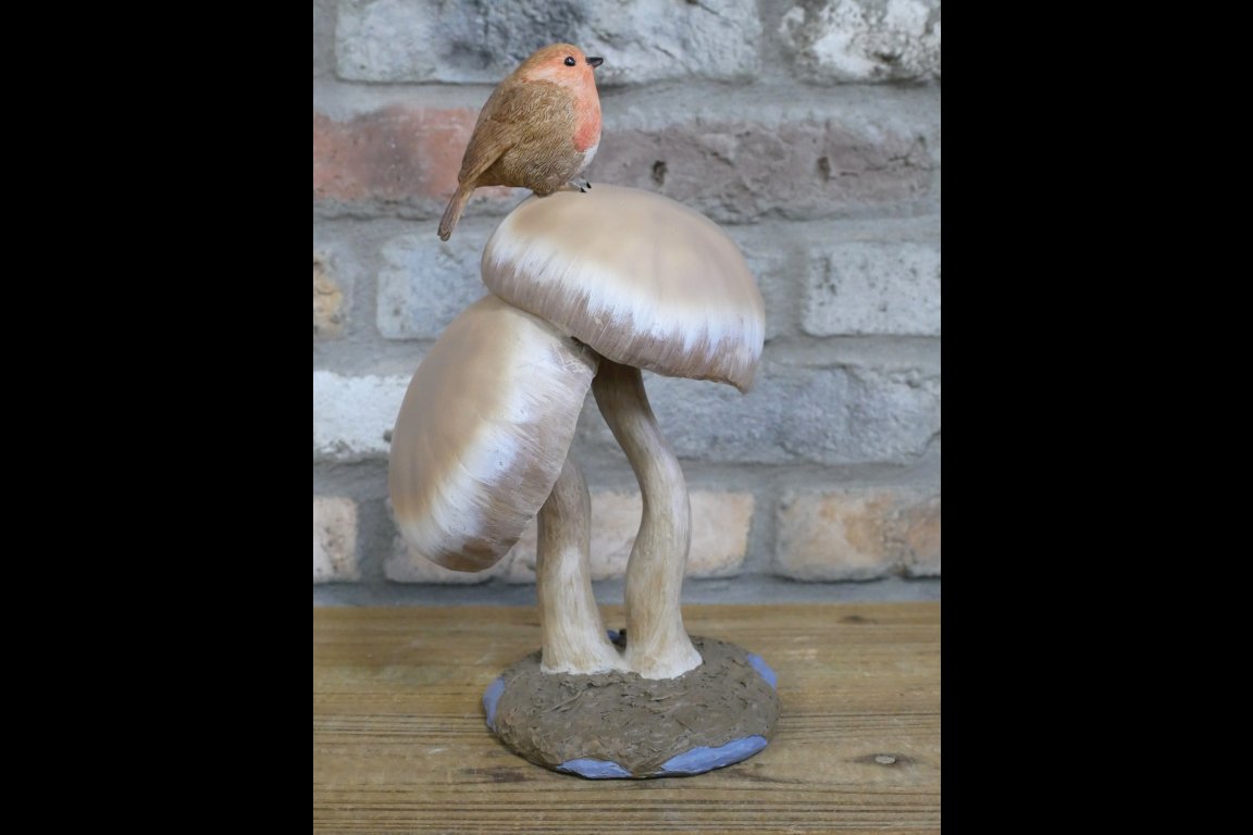 Robin On Top Of Mushrooms