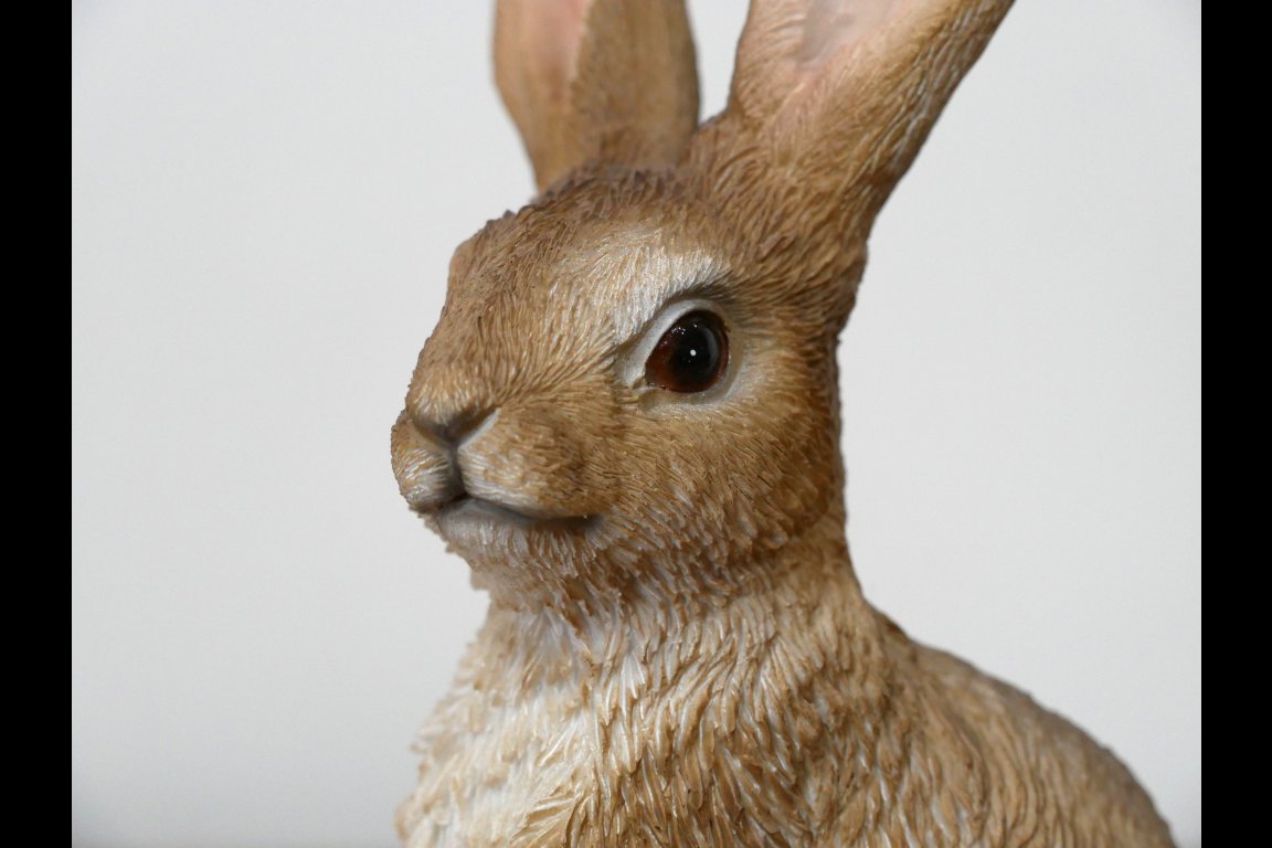 Rabbit