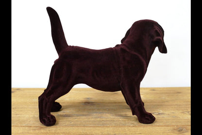 Brown Dog