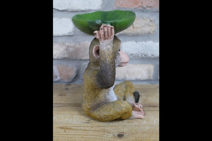 Monkey Leaf Dish