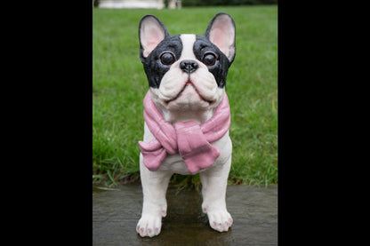 Dog With Scarf