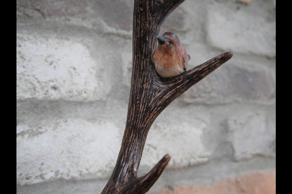 Stag Head