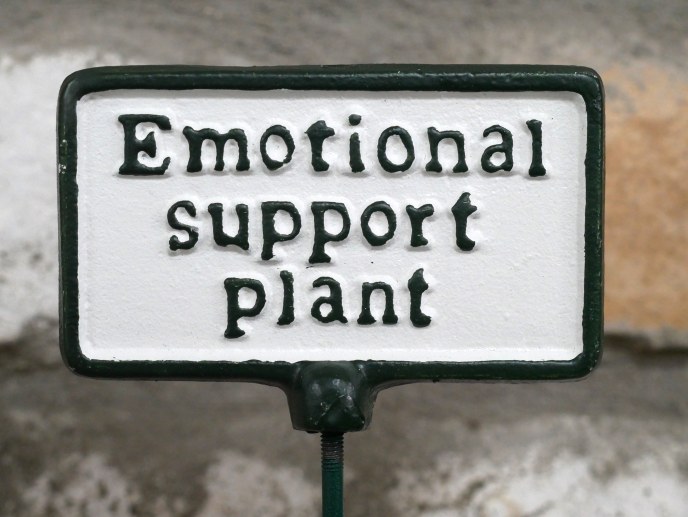 Plant Sign - Emotional Support