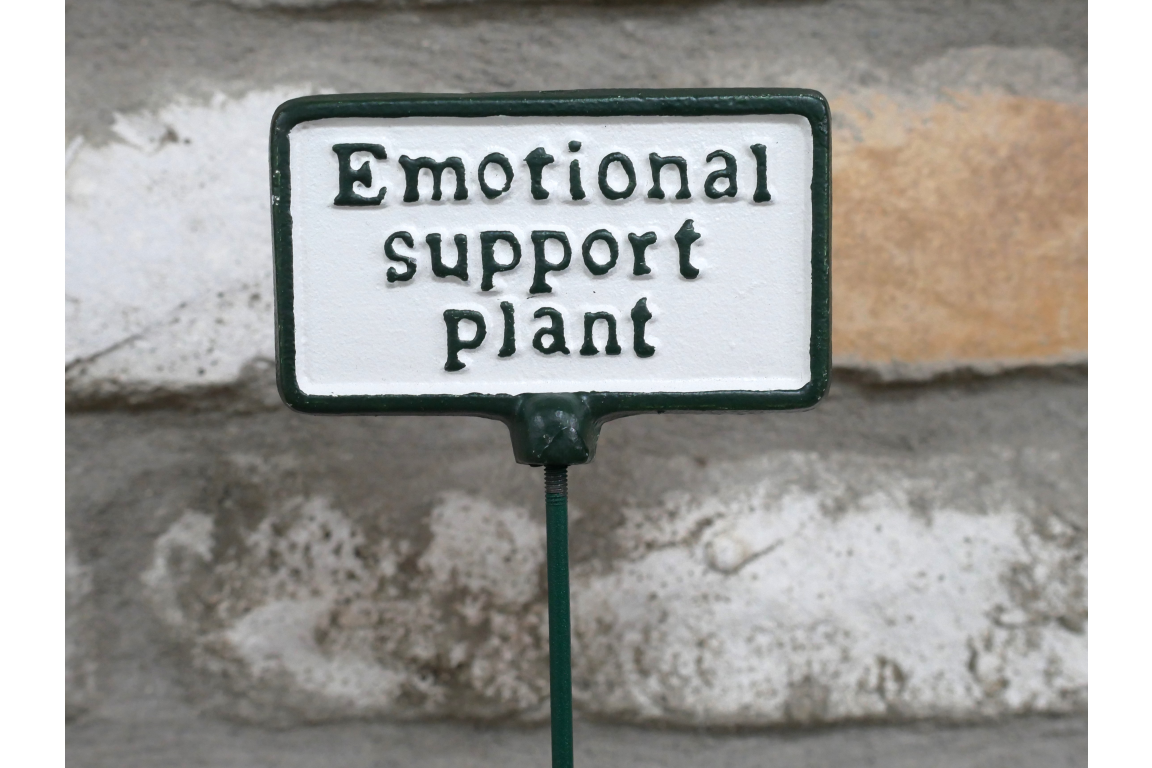 Plant Sign - Emotional Support