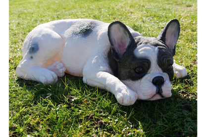 Laying Dog