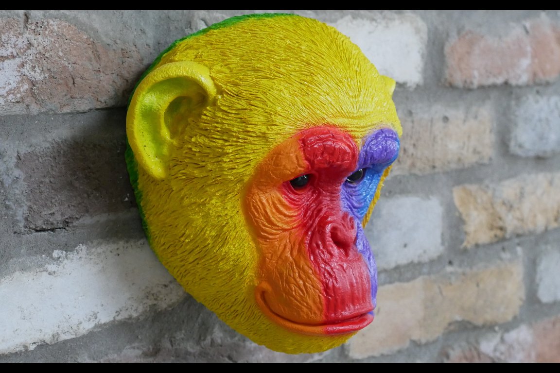Rainbow Monkey Head